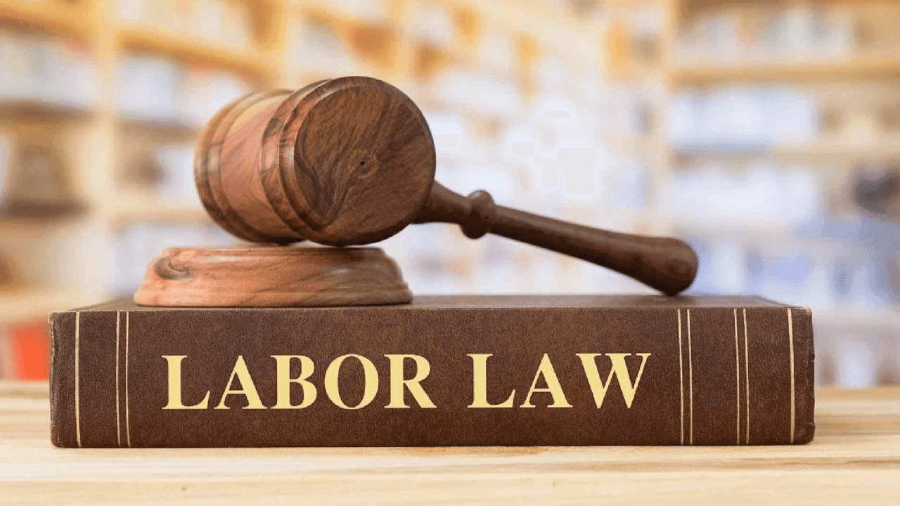 UAE Labour Law 2025: Complete Guide to Contracts, Gratuity & MOHRE Rules